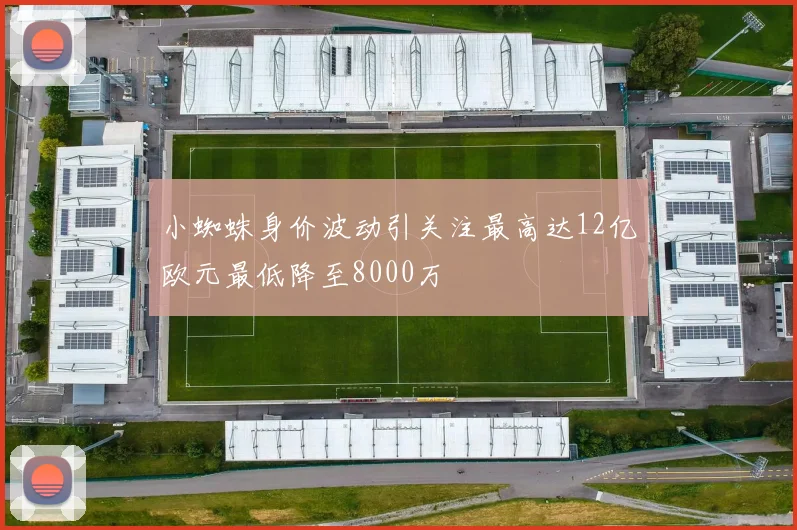 小蜘蛛身价波动引关注最高达12亿欧元最低降至8000万