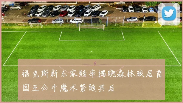 福克斯新东家赔率揭晓森林狼居首国王公牛魔术紧随其后