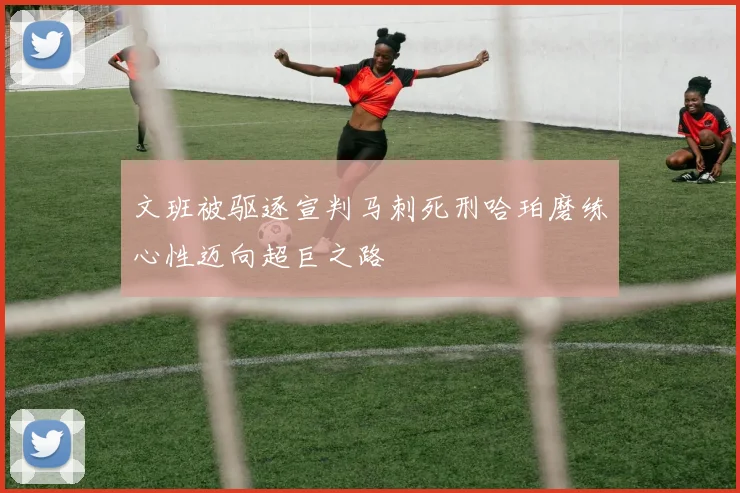文班被驱逐宣判马刺死刑哈珀磨练心性迈向超巨之路