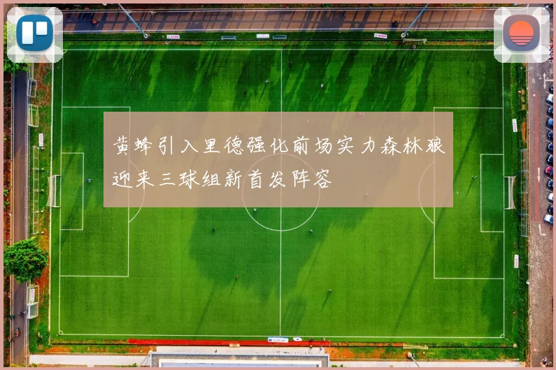 黄蜂引入里德强化前场实力森林狼迎来三球组新首发阵容